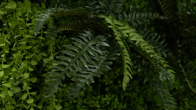 640 (1).gif