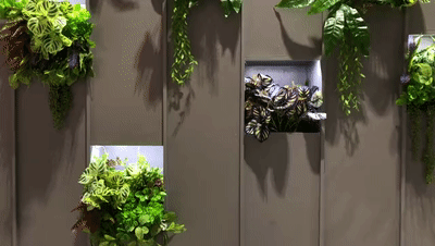 640 (2).gif