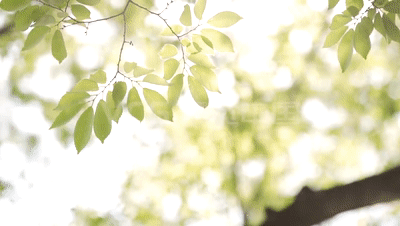 640 (4).gif